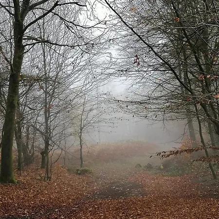 Apartament Emmerglueck Lügde