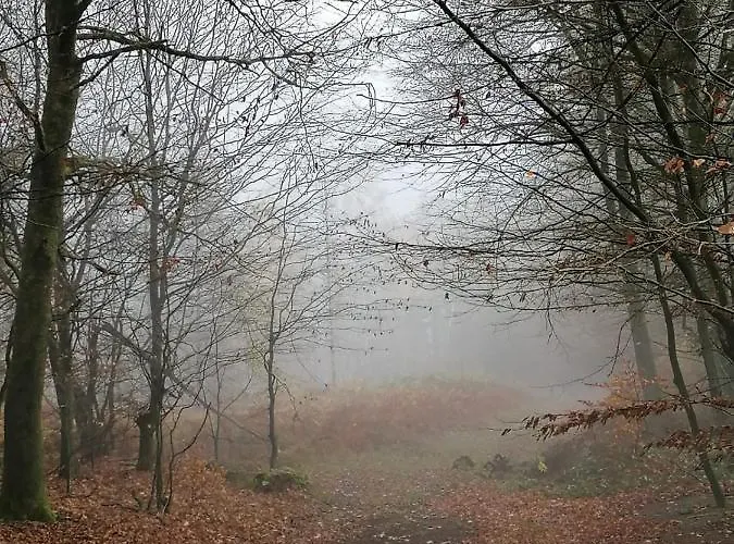 Appartement Emmerglueck Lügde