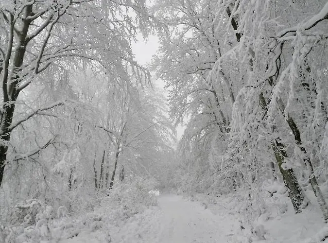 Emmerglueck 吕格德